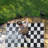 Haylee Super Lightweight Plastic Straw Rug Checkered Black/White Outdoor Area Rug-2096150278