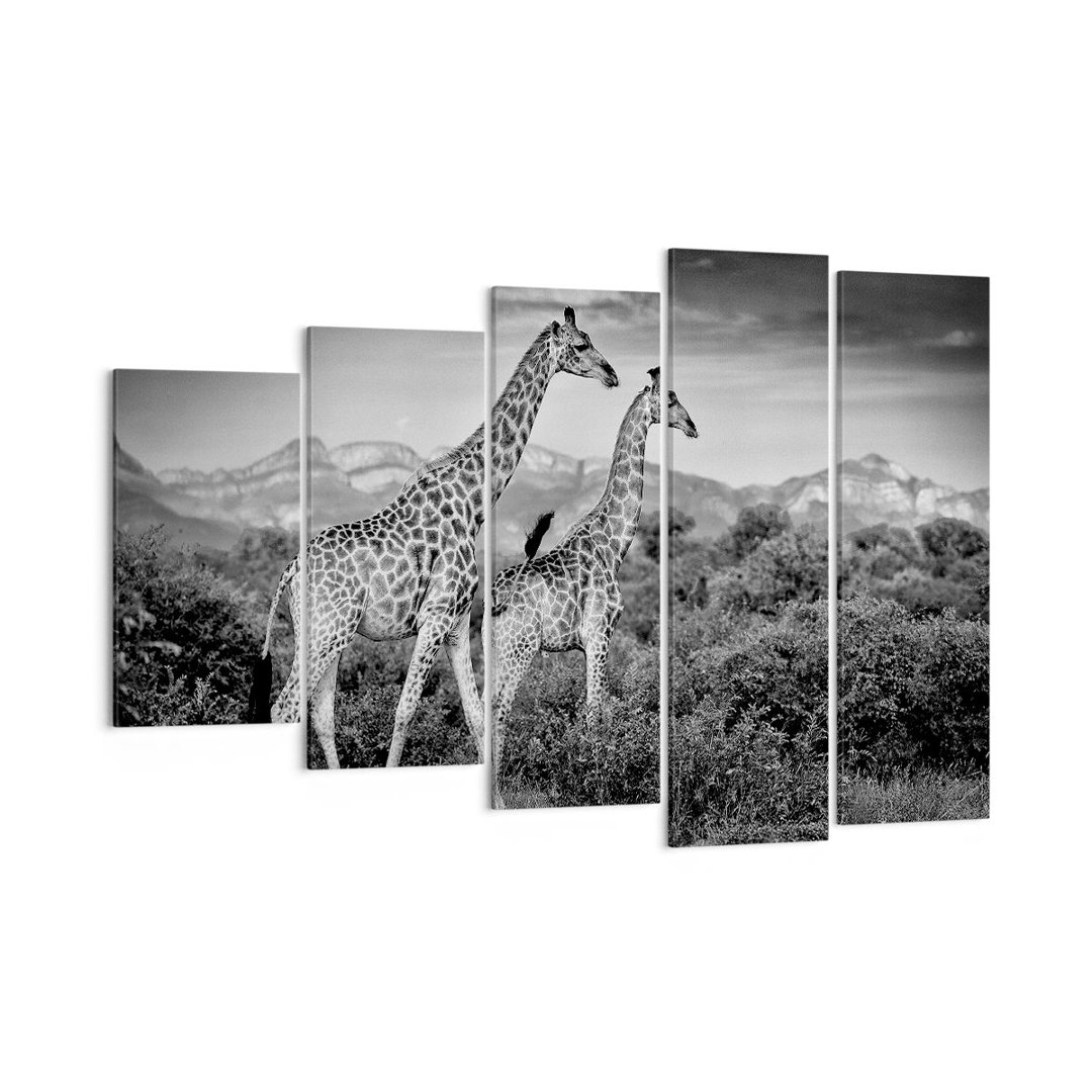 5-tlg. Leinwandbilder-Set Giraffes Black and White