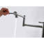 Robinet d'extension de remplissage de pot - 360 rotatif et pliable, conception en nickel brossé, structure en laiton, poignées doubles pour une manipulation sans effort de l'eau avec fonction de pliage rotatif, charme, fabrication, facile-316456925