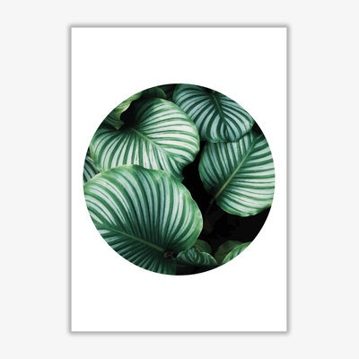 Leaves Circle - Print
