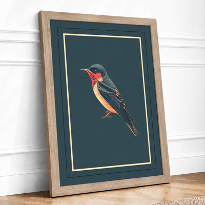 Hummingbird Study Botanical - Framed Print