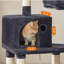 Tour à chat pour chats d'intérieur-1066574691