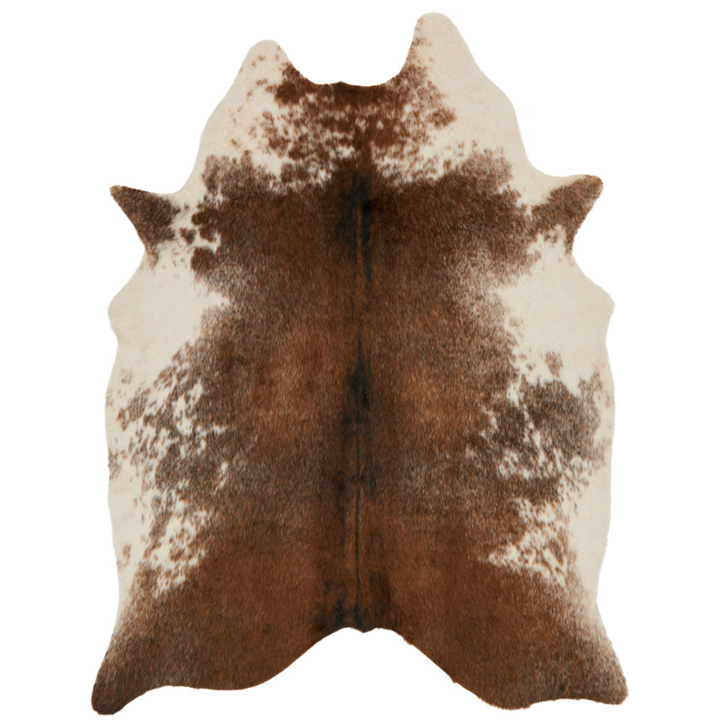 Tapis café / ivoire Isal, Forme rectangulaire : 3 pi 10 po x 5 pi