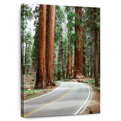 Mehar Sequoia Highway