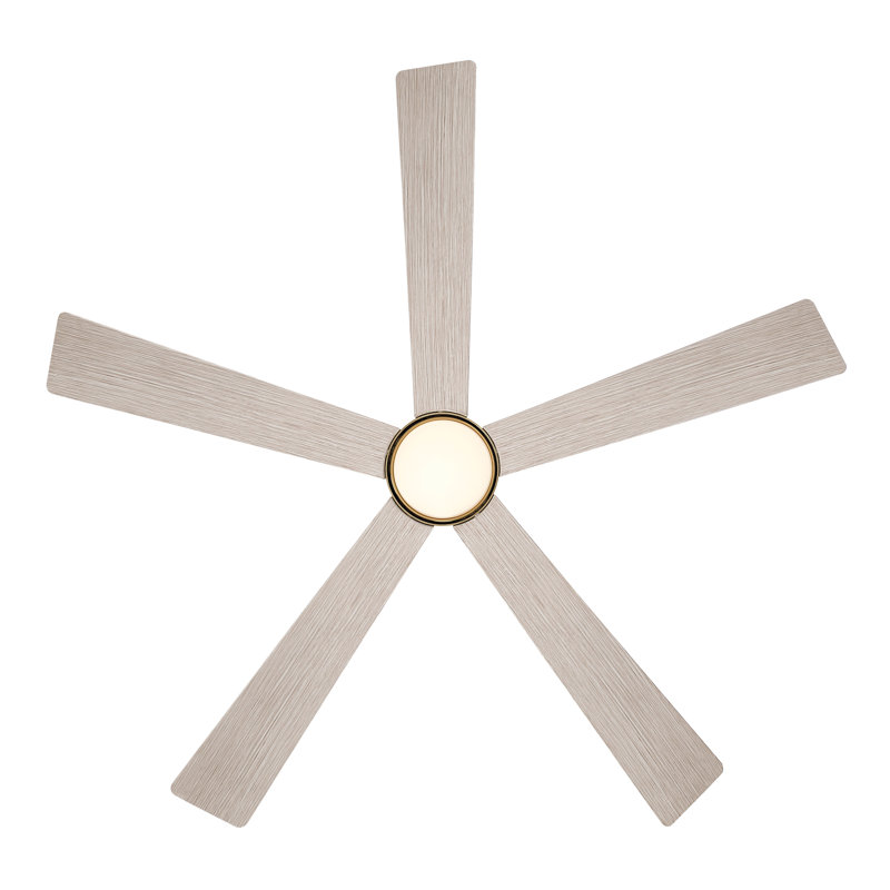 Ventilateur de plafond intelligent 54 "5CCT Oovin, Laiton, Bois flottant chaud côtier