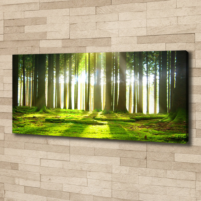 Forest in the Sun 1 Piece Wall Art on Canvas
