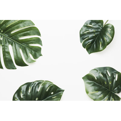 Tropical Leaves Nature Frame Layout of Monstera Deliciosa by Bombuscreative