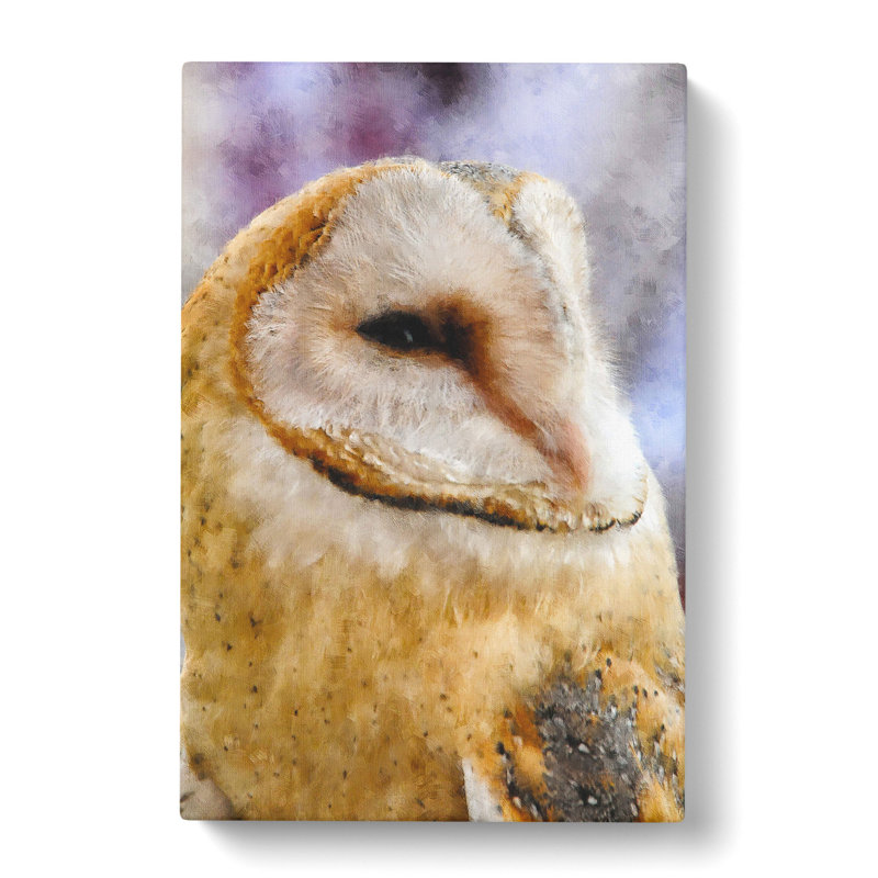 Barn Owl Vol.4 - Wrapped Canvas Print, 50cm H x 35cm W x 3cm D