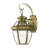 Alexavier Wall Light-594090491