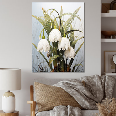 " Green Snowdrops Winter Flowers IV "