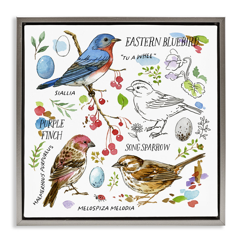 "Woodland Birds", art mural encadré flottant par Jane Maday, H 25 po x l 25 po, Cadre flottant gris lustré