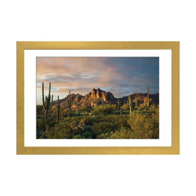 «Superstition Mountains and Cactus», reproduction d'art mural, papier d'art encadré