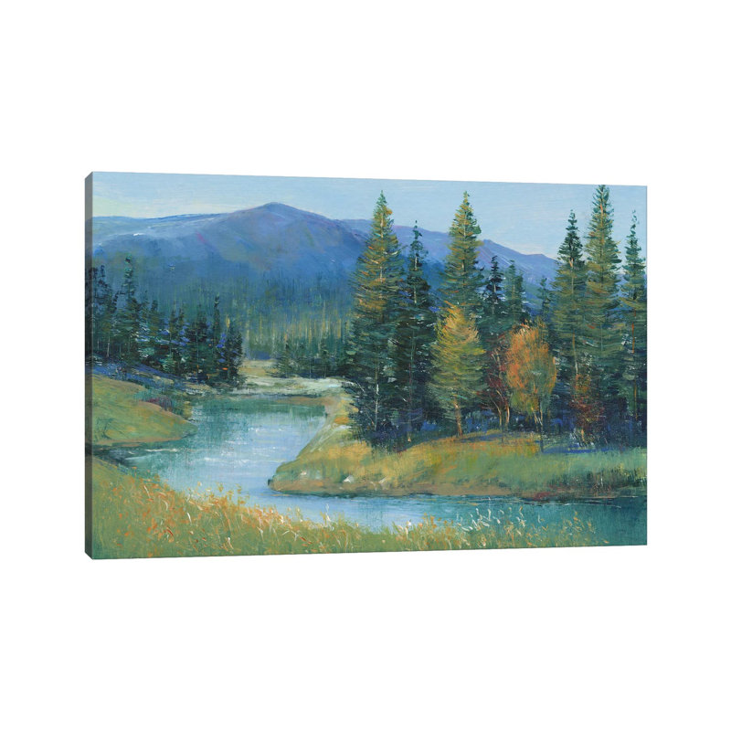 Truite ruisseau II - Giclée sur toile tendue avec châssis, H 12 po x l 18 po