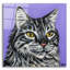 «Tough Cat» par Carolee Vitaletti-472248073
