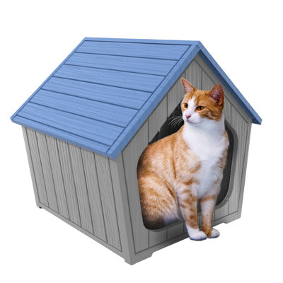  Abri pour chat 22,8 po H