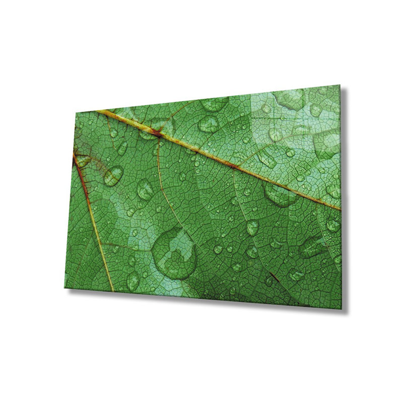 Elegant Decorative Tempered Glass Painting, 18.1 x 28.3 inches | 100% Tempered Glass, Thickness: 0.16 inches | Stunning Artwork for Home Décor, Living Room, & Office Spaces, Durable & Easy to Clean