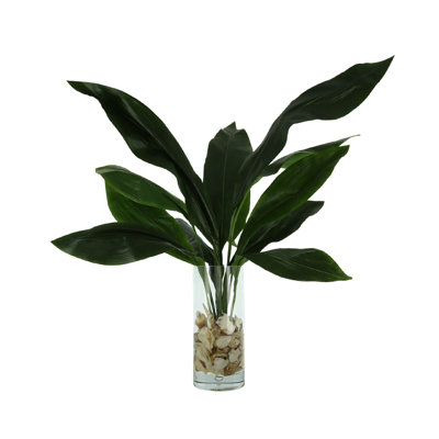 Rockwood Faux Aspidistra Plant in Glass Vase