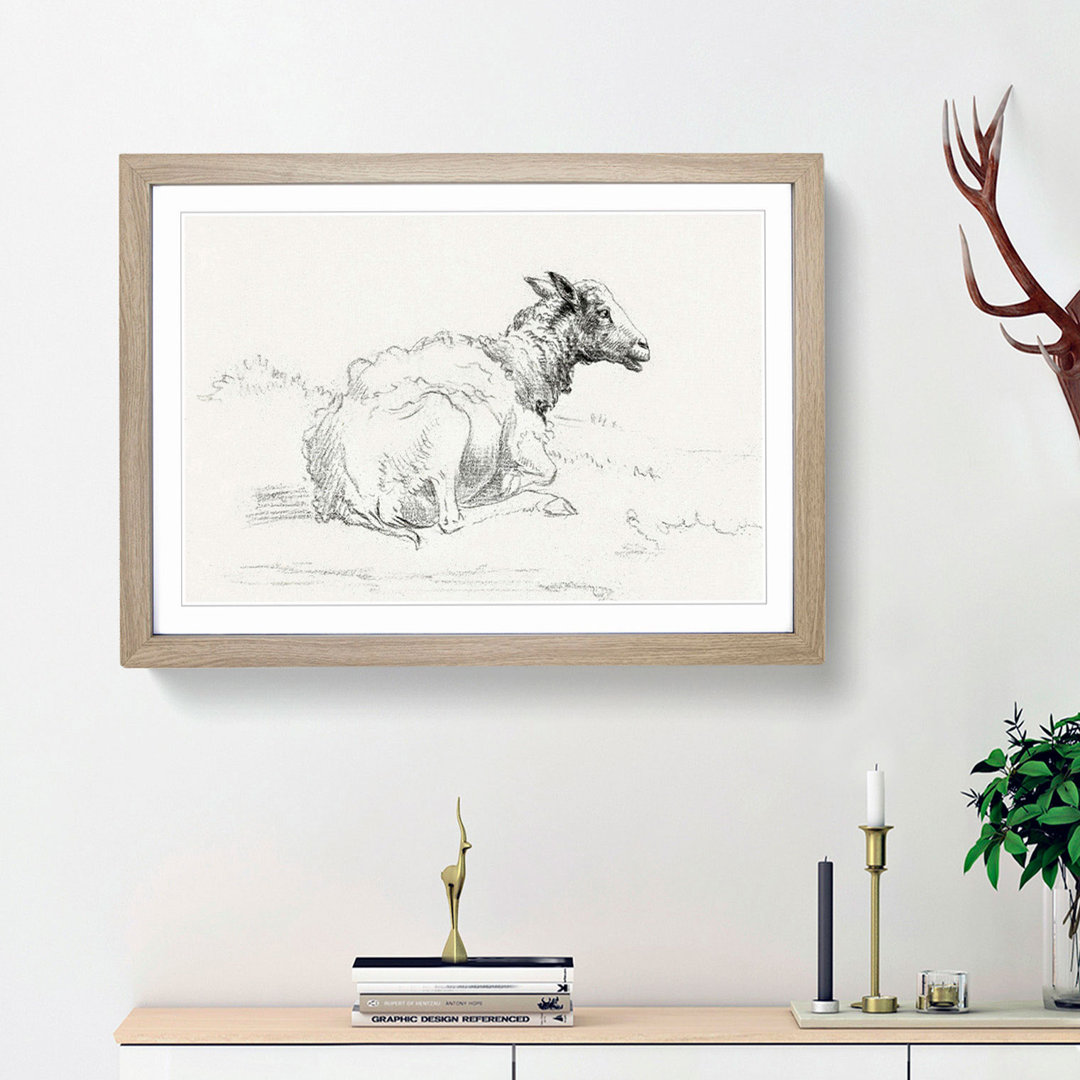 A Lying Sheep by Jean Bernard - Framed Print