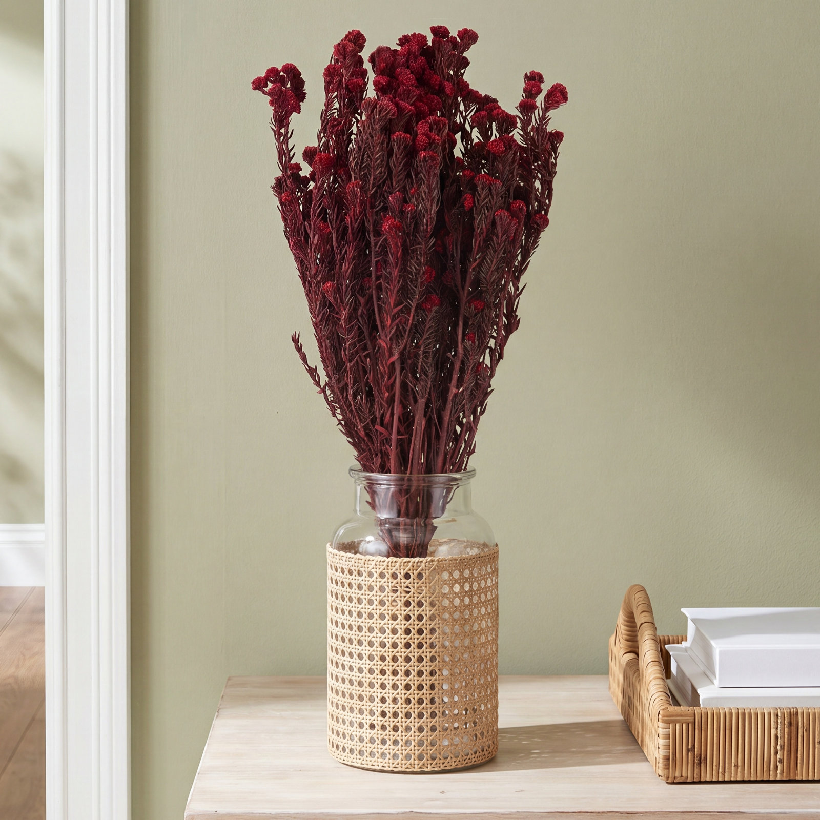 Vickerman 16" Cotton Phylica Plant, Red
