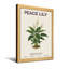 Plantes et fleurs, lis botanique, motif botanique-1764450665-1764450664-1764450666