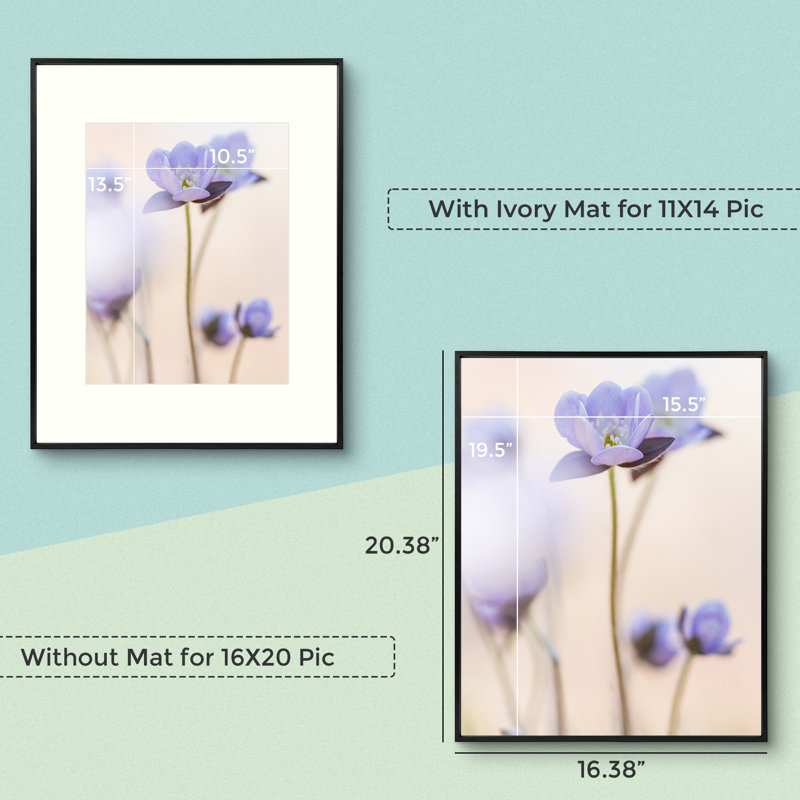 2 Piece Matte Gallery Wall Frame Set, Multi Photo Frames Collage, for Wall or Table Top Display, Black, 11" x 14"