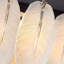 Lustre en cristal Feather