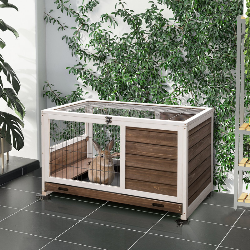 Cage à lapin compacte en bois, avec construction et conception facile à déplacer