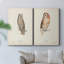 Scops Eared Owl - Toile tendue avec châssis de qualité supérieure - Prêt à être accroché-560607896