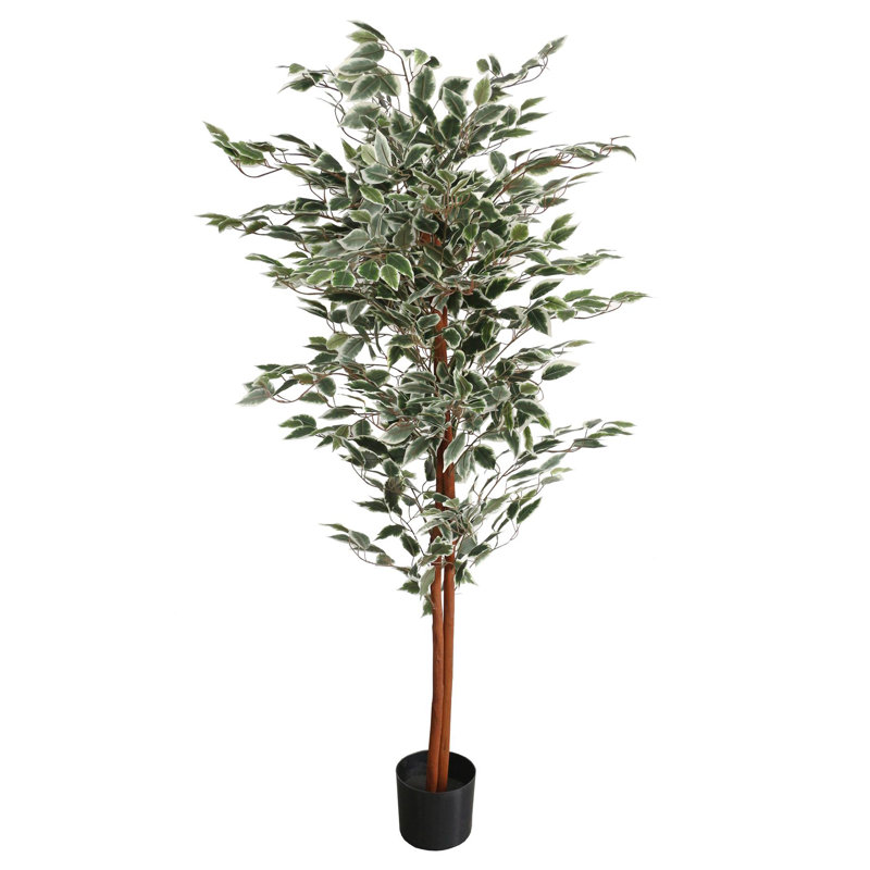 Anivea 160cm Faux Ficus Tree in Pot