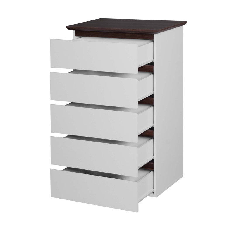 5-Drawer Accent Storage Chest