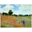 Claude Monet - Wrapped Canvas Painting-21211172