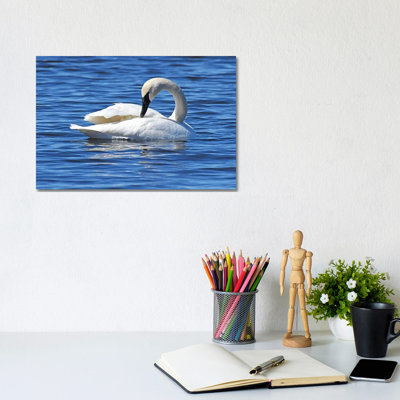 Rearranging by Brian Wolf - Wrapped Canvas Gallery-Wrapped Canvas Giclée