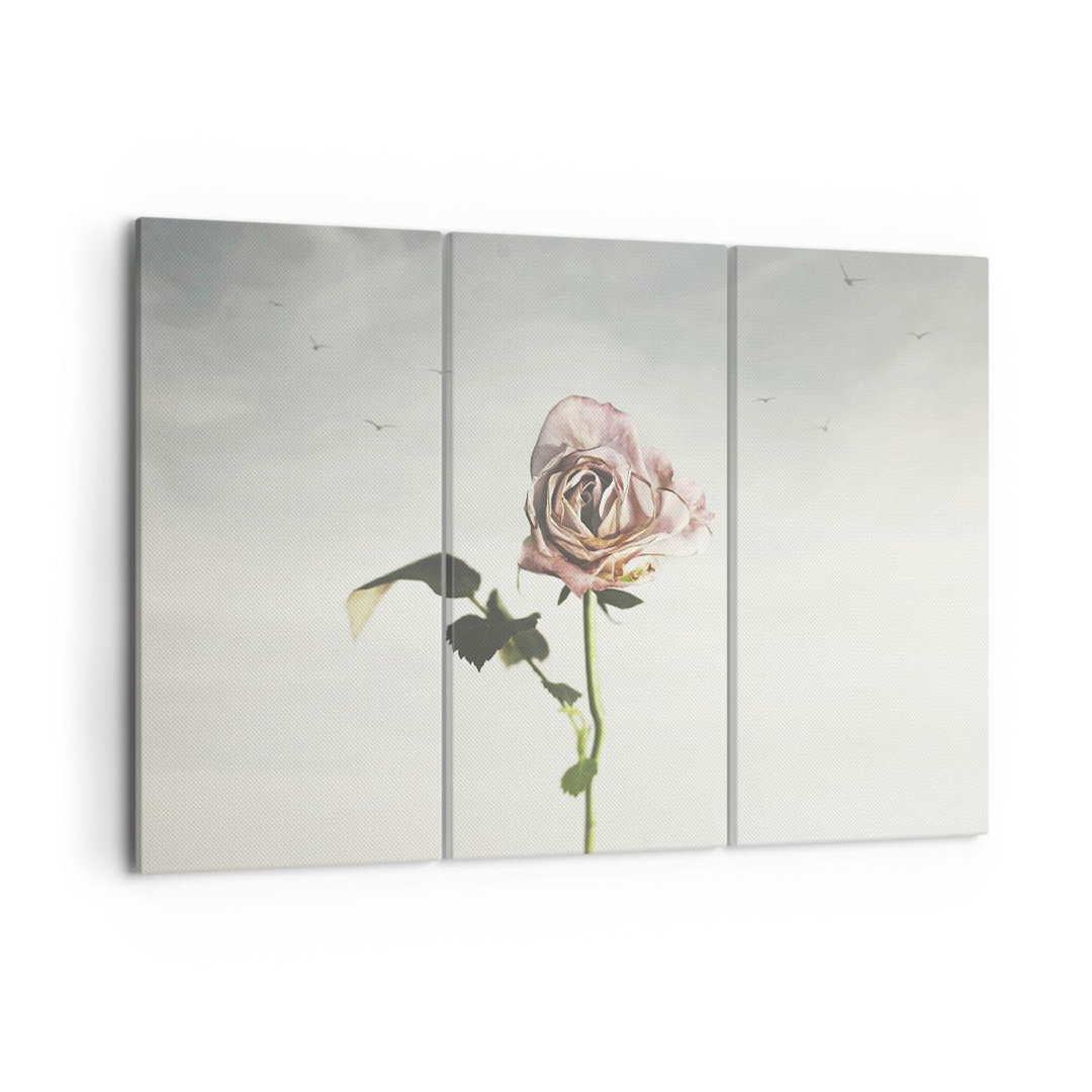 3-tlg. Leinwandbilder-Set Rose Birds Sky