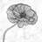 Bright Poppy Flower Tablecloth - Gray Indoor Outdoor Decor