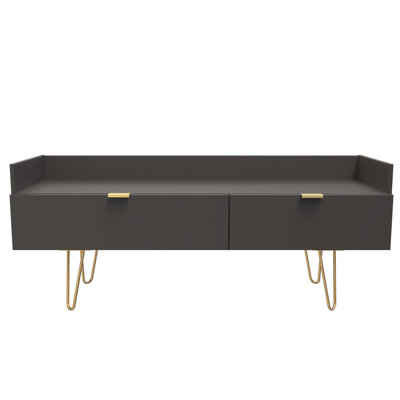Taeyah 2 Drawer TV Unit