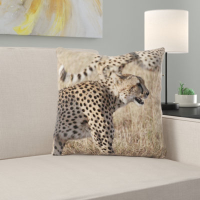 Coussin en afrique