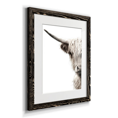 " Highland Cattle "