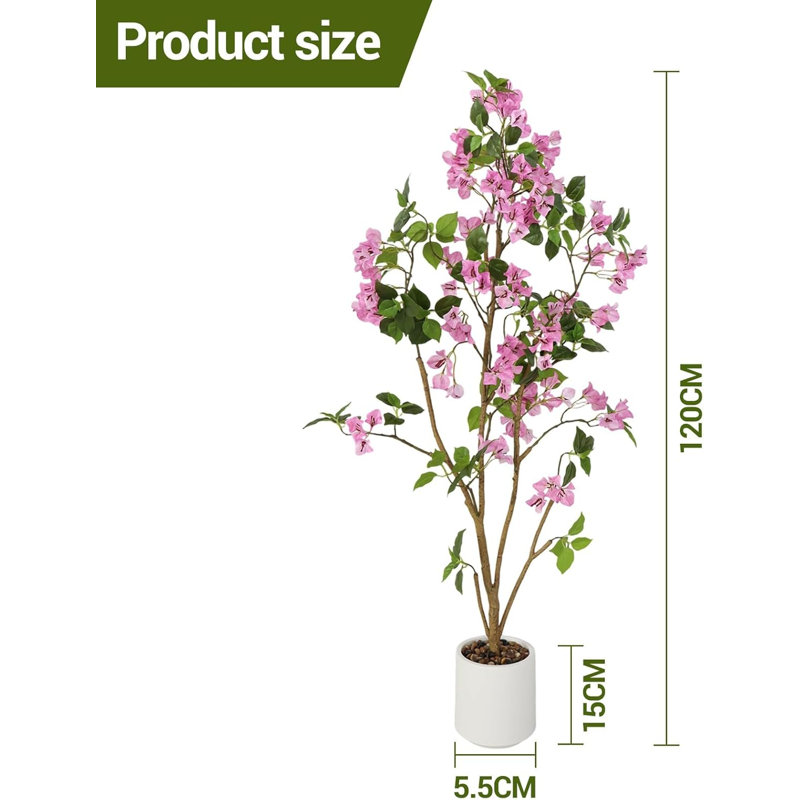 120cm Plant