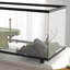 Turtle Cage-98782370