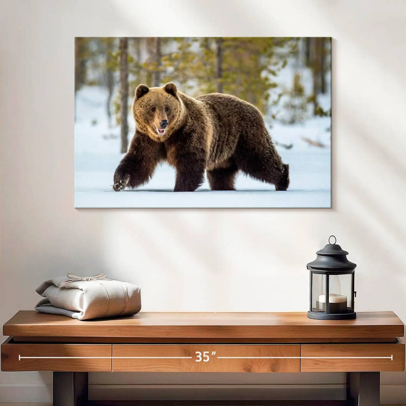 Adulte grizzly, H 16 po x l 24 po
