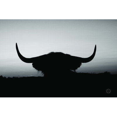 " Bull Set BW Crop " by Nathan Larson