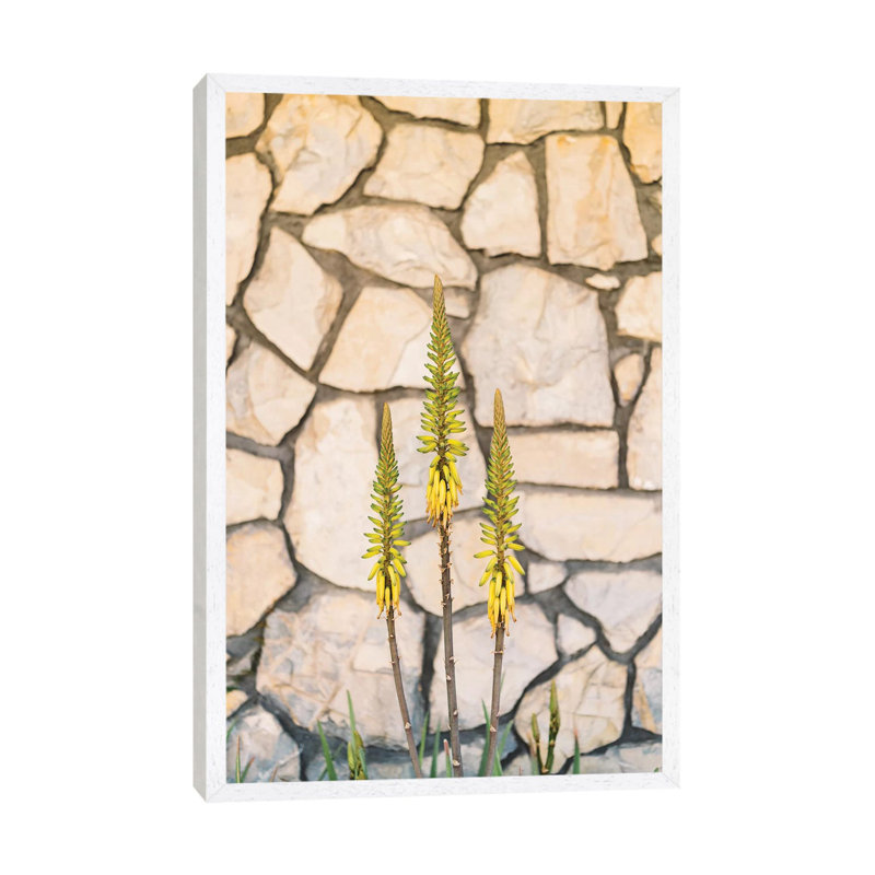 Palm Springs Blooms 1 Piece Wall Art on Canvas, 101.6cm H x 66.04cm W x 3.81cm D, White Framed