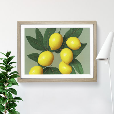 Citrus Fruit Lemons Vol.2 - Framed Print