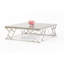 Table basse avec dessus plateau