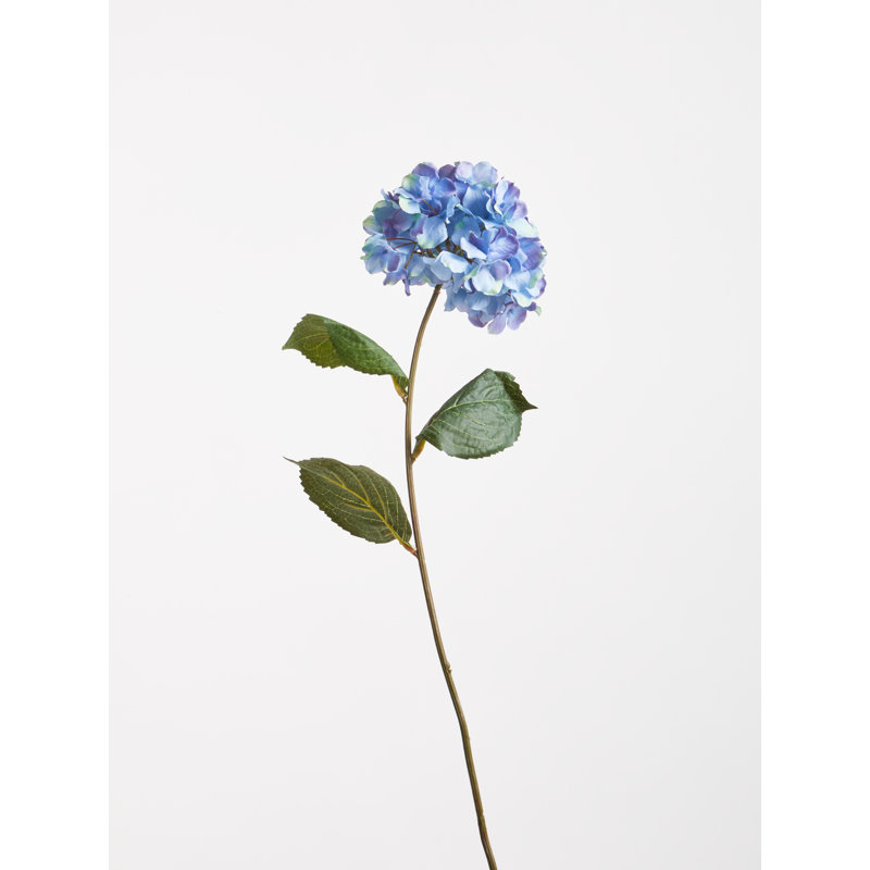 Fiori Hydrangea Arrangement