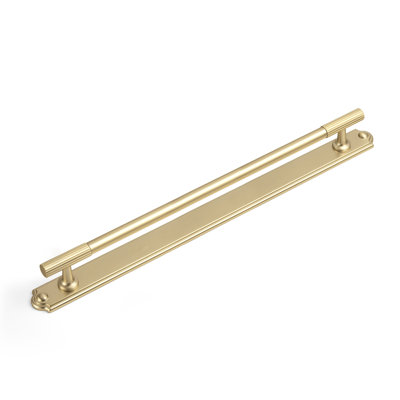 Solid Zinc Alloy Sturdy Bar Pull With Backplate