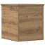 Camp Trunk / Footlocker-555987798