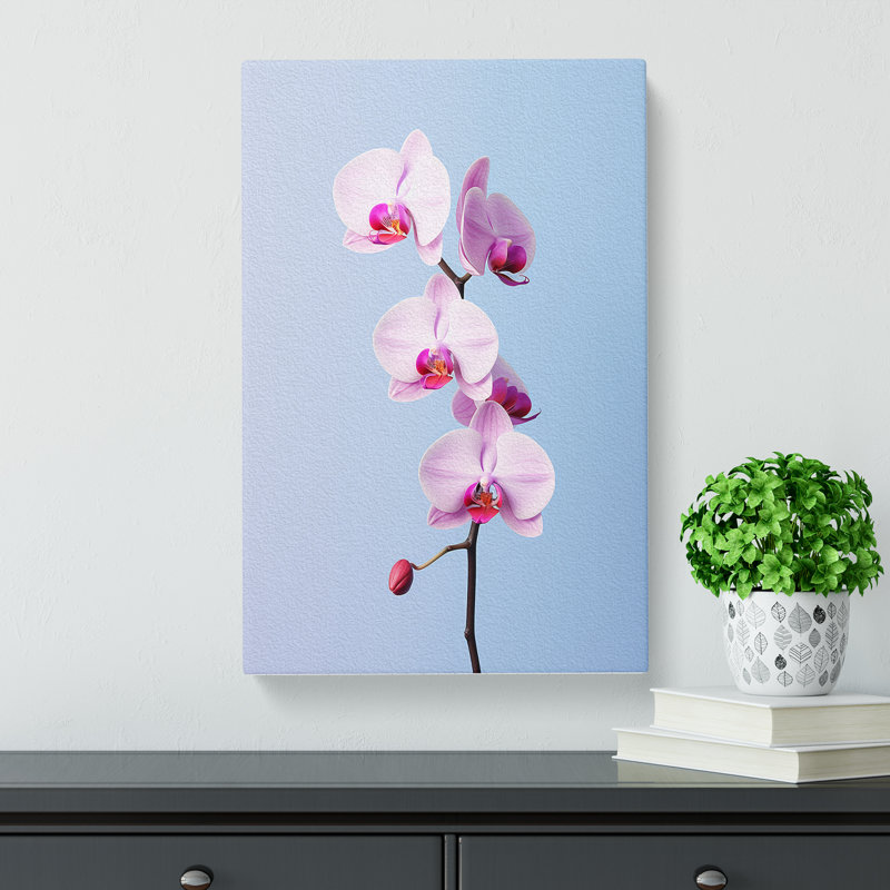 Orchid Flower Minimalism - Wrapped Canvas, 50cm H x 35cm W x 3cm D