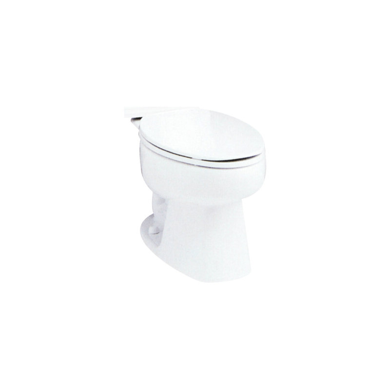 Windham 10" Rough-In 1.6 GPF Elongated Toilet Bowl Only, White