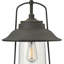 Belden Place 1-Light Outdoor Hanging Lantern